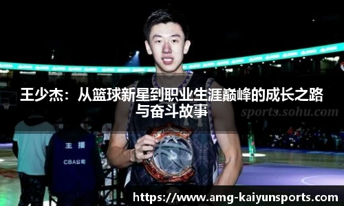 开云体育官网平台